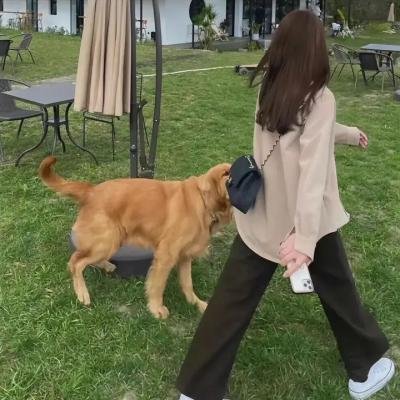 独家腥闻
